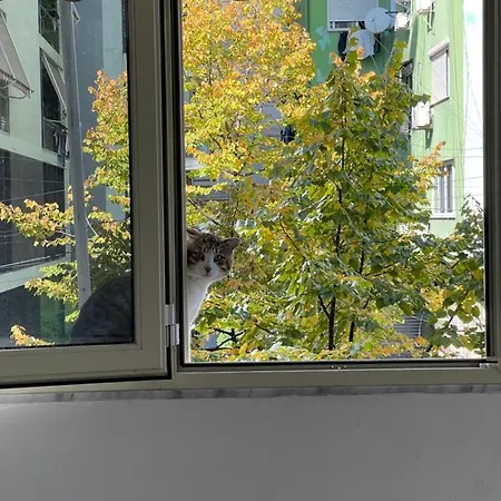 Rita's Apartment